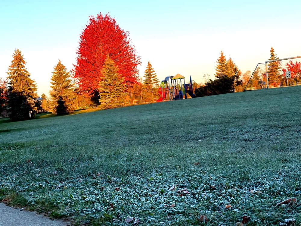 Check visitor reviews for helpful tips and nearby attractions to enhance your sunrise and sunset experiences in Canton, MI.