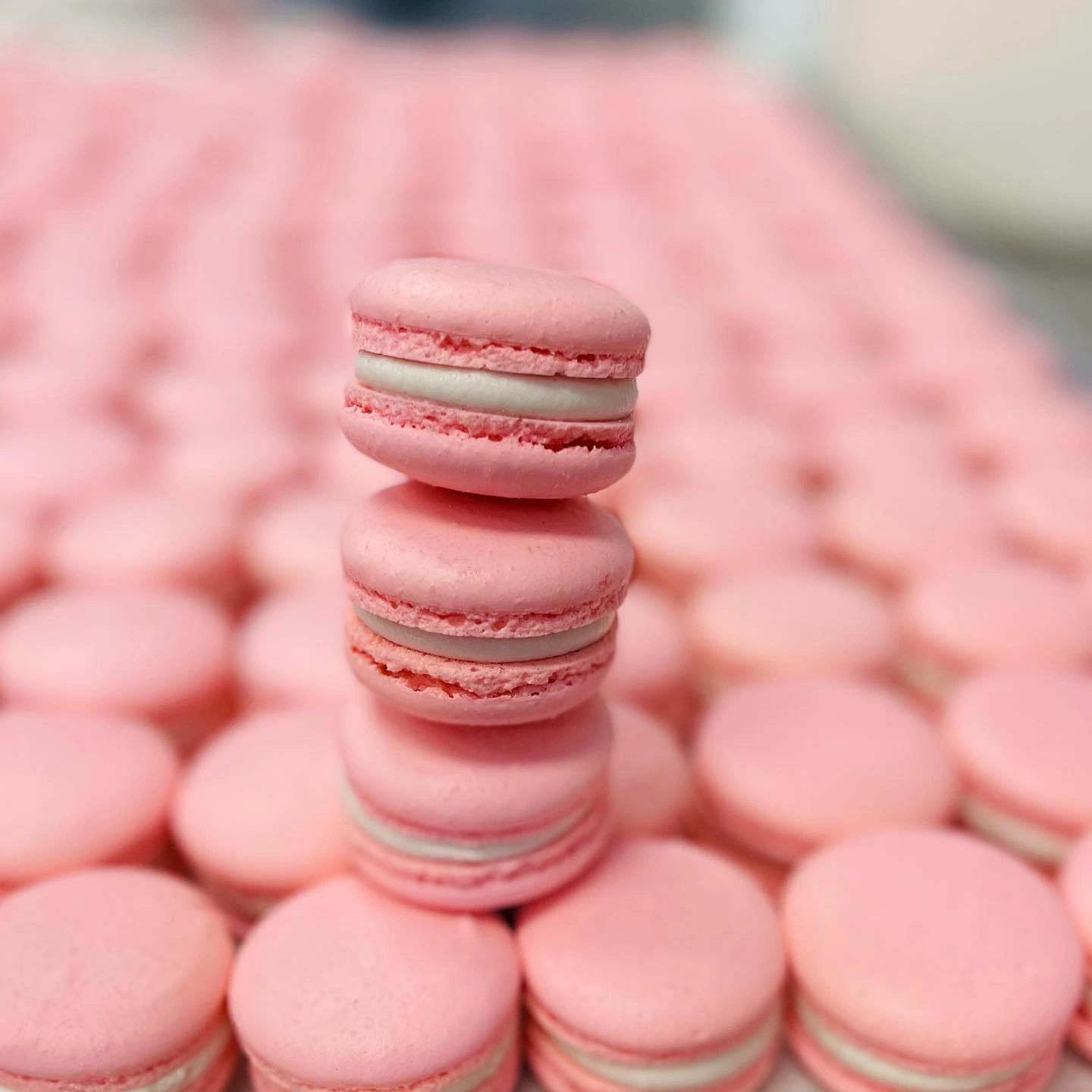 Savor the sweet experience with Luca Pastry's famous cannoli, lobster tails, macarons, and Italian cookies.