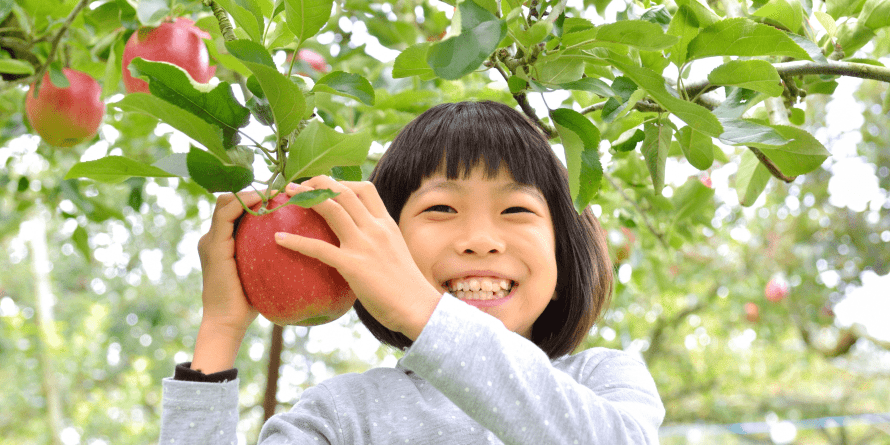 Plan family-friendly orchard visits—check hours and activities before you go.